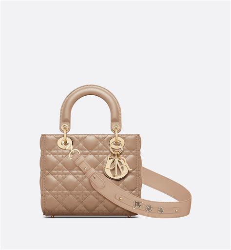 lady dior small bag.